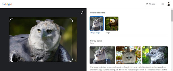 Selecting Search image with Google Lens from right-click menu