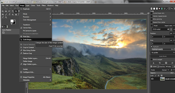 Selecting Scale Image from the Image menu in GIMP