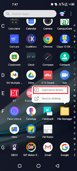 Tap Application details for the system app