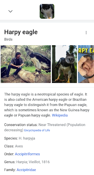 Successful Google Lens image search results on Android