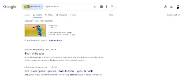 Successful Google Image Search results page