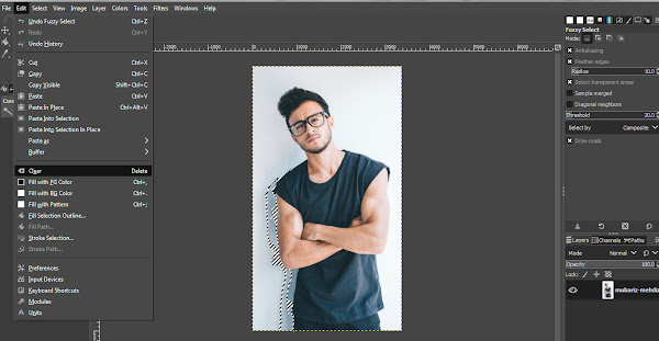Deleting selected background area in GIMP