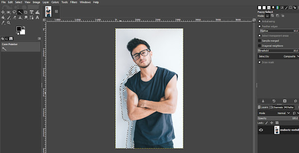 Using Fuzzy Select to select background area in GIMP
