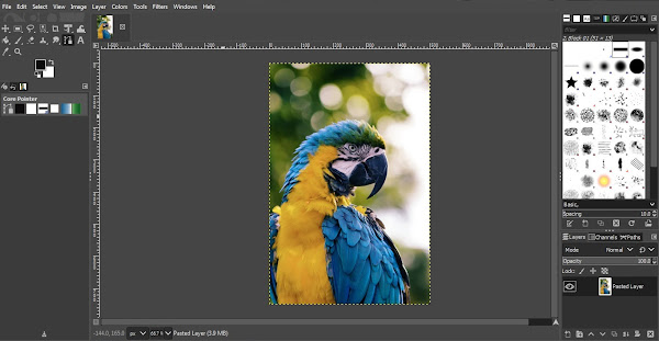 Opening image in GIMP to remove background with Paths Tool