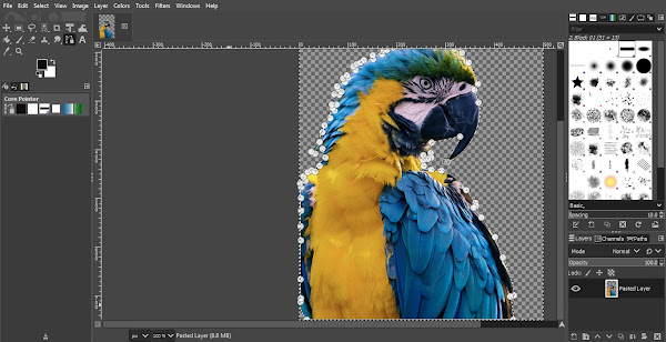 Background deleted using Paths Tool in GIMP leaving transparent area