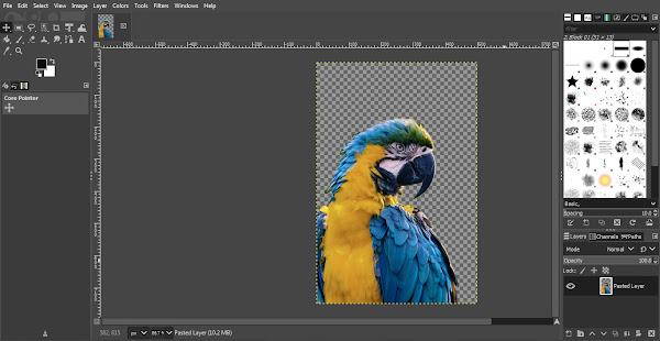 Final transparent background image after using Paths Tool in GIMP